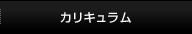 カリキュラム